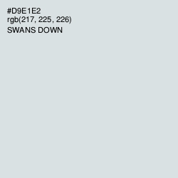 #D9E1E2 - Swans Down Color Image